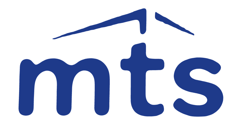 MTS Storage logo